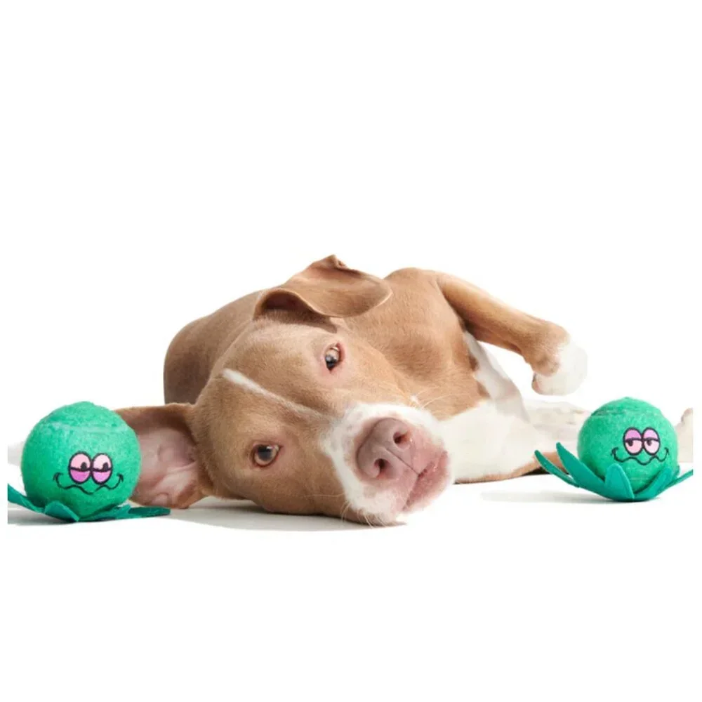 NWT Bark Box DOPE TENNIS BALLS Dog Toy 4/20 Bark Box Theme, Size L, Green